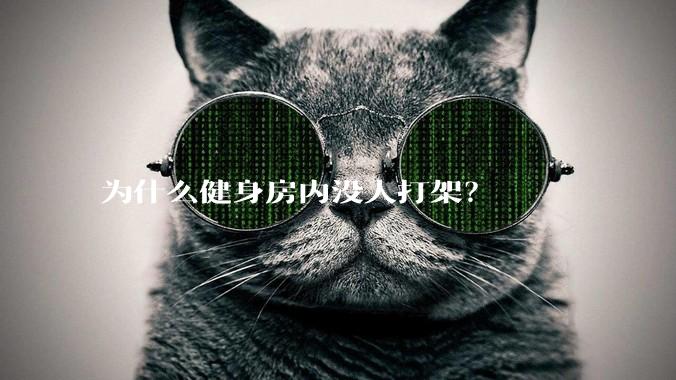 为什么健身房内没人打架？